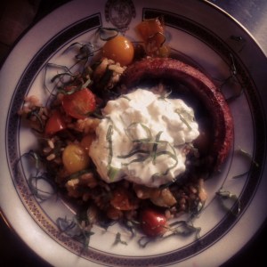 Brown rice with zucchini, green beans and cherry tomatoes.  Tzatziki and spicy Italian sausage. 